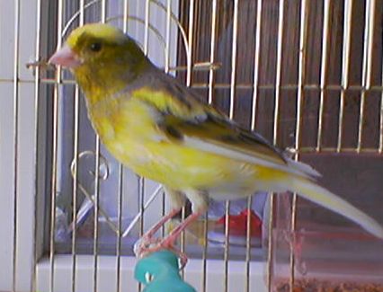 080905_201410.jpg