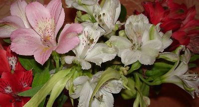 DSC05565.JPG