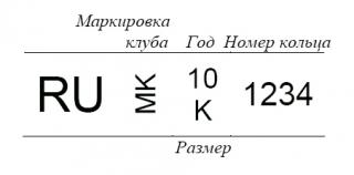 62-3.jpg