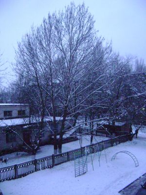 DSC03727.JPG