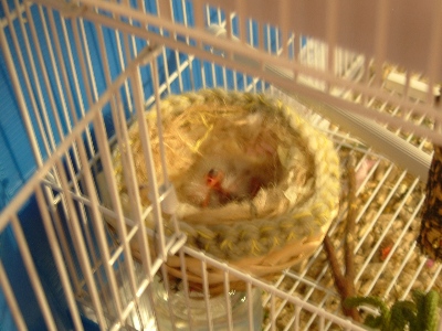 DSCF1080.JPG