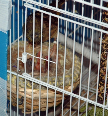 DSCF1167.JPG