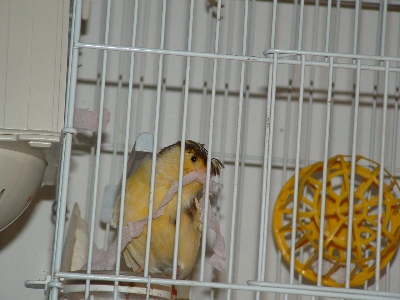 DSCF1127.JPG