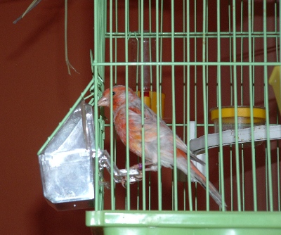 DSCF1195.JPG