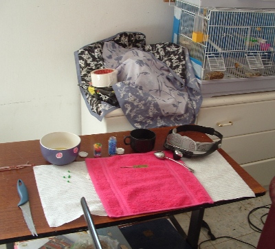 DSCF1002.JPG