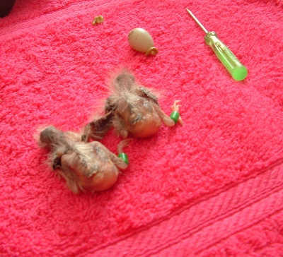 DSCF1005.JPG