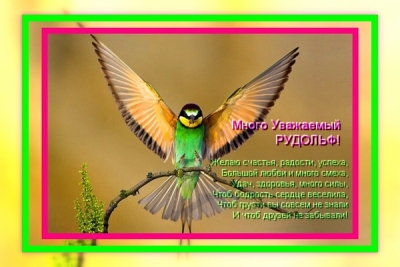 rarebirds_hf_hf.jpg