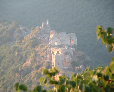 Monfor_018.jpg