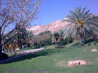 19032010_013.jpg