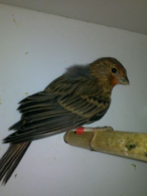 24032010087.jpg
