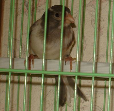 DSC03330.JPG