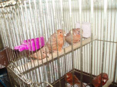 2010.jpg
