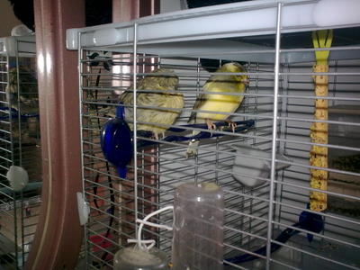 12042010_010.jpg