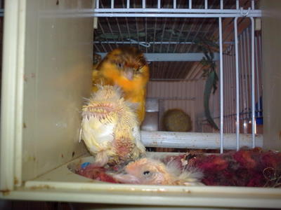 16042010_027.jpg