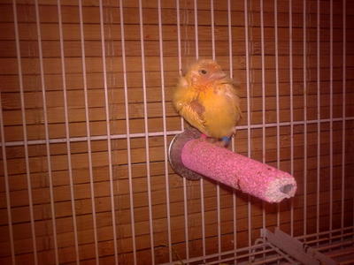 18042010_007.jpg