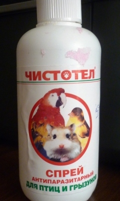 P1000429.JPG