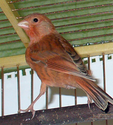 2esk_011.jpg