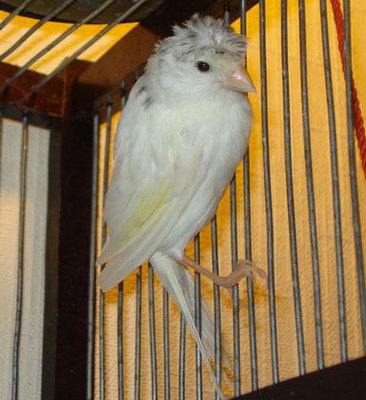 DSC00468.jpg