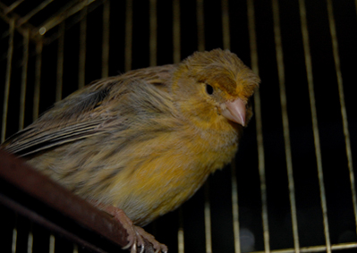 DSC_5488c.jpg