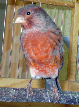 s1_002.jpg
