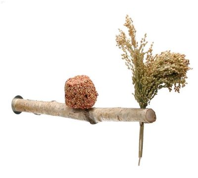 article_900435VogelsnackSitz-Stangeklein1_xl.jpg