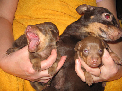 photo41.jpg