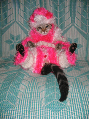 photo411.jpg