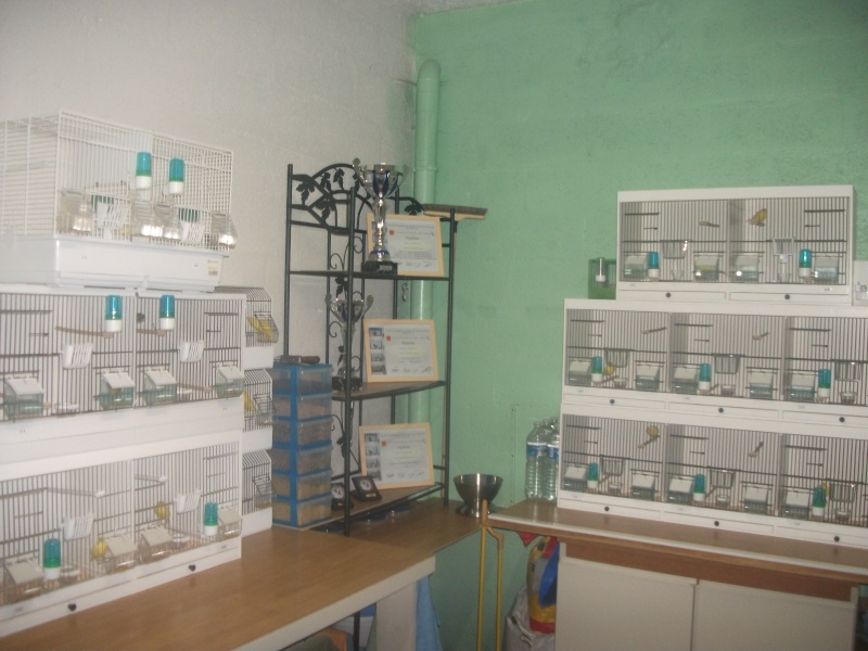 dscf0510.jpg