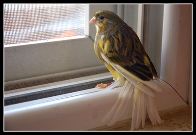 DSC_0011.jpg