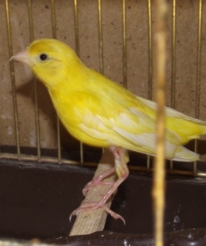 DSCF0682.jpg