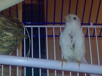 09012011651.jpg
