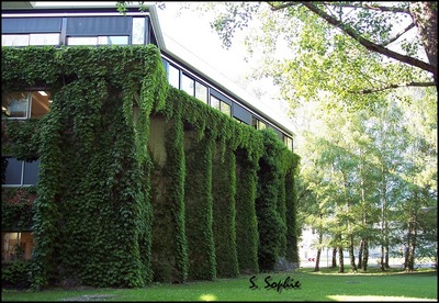 university area.jpg