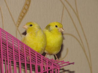 zig+bon.JPG