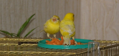 P3190061_cr.jpg