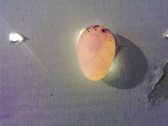 150320111246.jpg