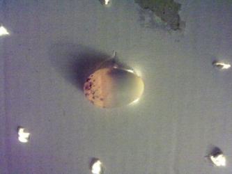220320111300.jpg