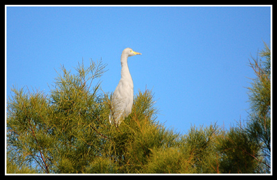 DSC_0004.jpg