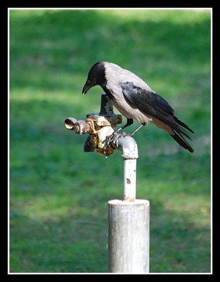DSC_0031.jpg