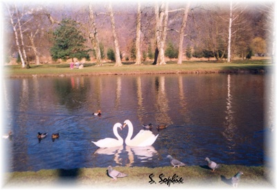 Lake - Vizile.jpg