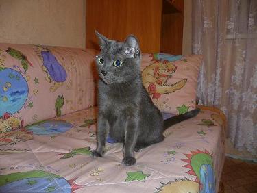 P1000148.JPG