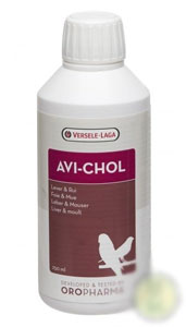 Orlux-avi-chol.jpg