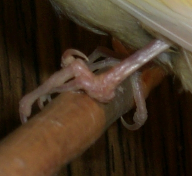 CIMG6349.JPG