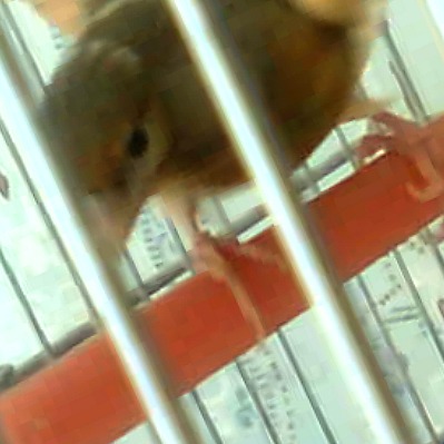 IMG0142A.jpg