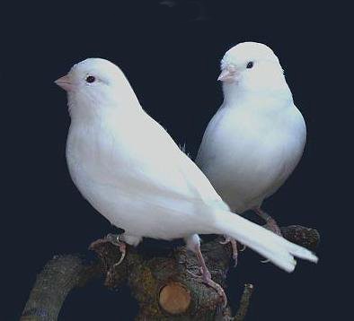 2842134548_1-copy.jpg