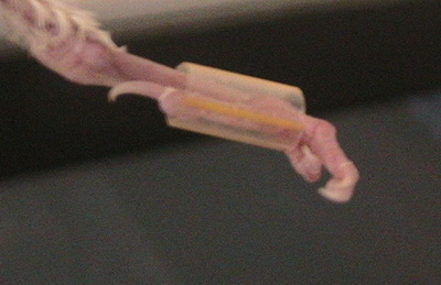 222.jpg