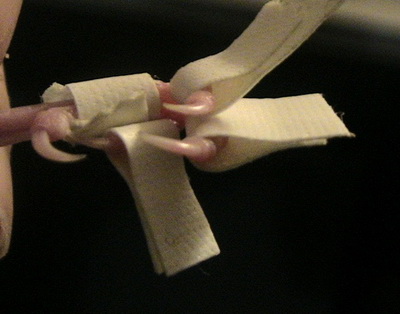 02.jpg