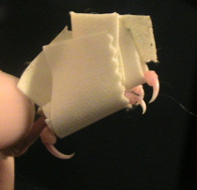 04.jpg