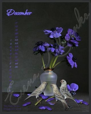 december big.jpg