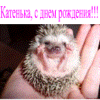 кате.gif