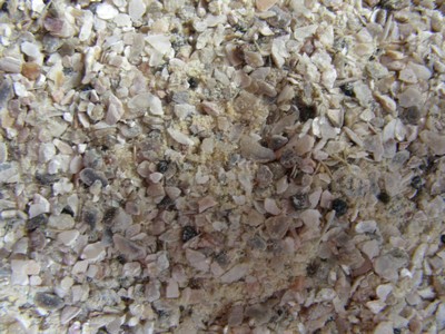 mineral zern.jpg